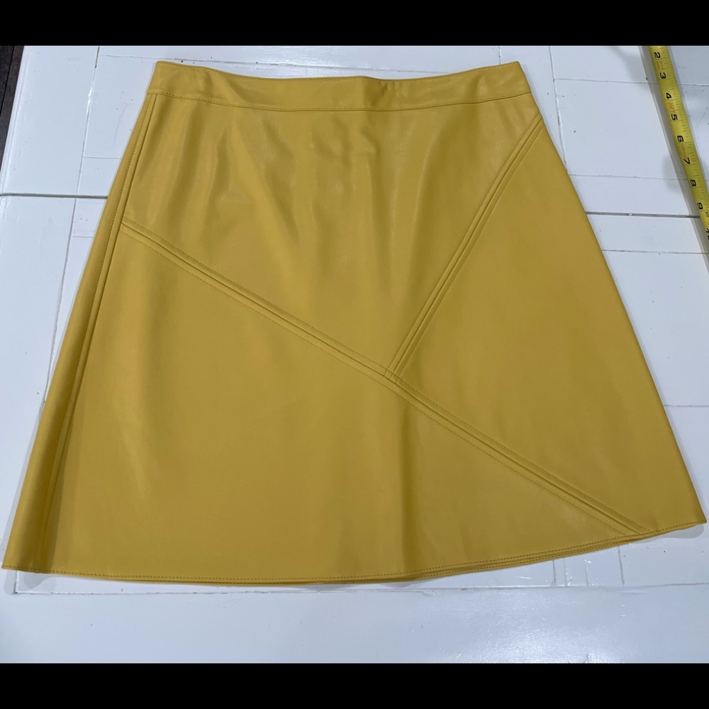 Zara Brand Faux Leather Trendy Skirt